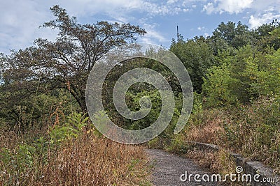 Old abandoned paved walking path in park Stock Photo