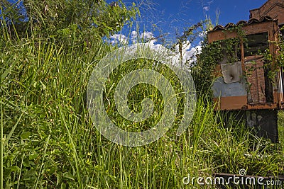 Old abandoned railroad car Stock Photo