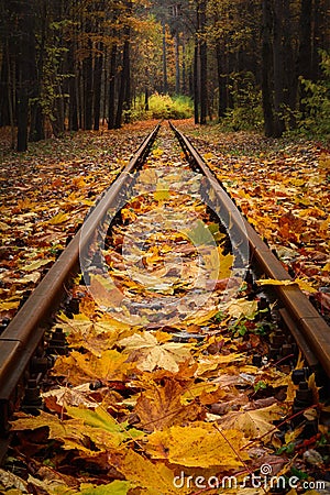 an old abandoned railway in a morning autumn forest is covered with fallen maple leaves. vibrant golden okryabr Stock Photo