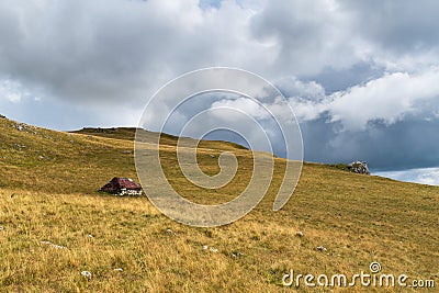 Old abandoned shepherd's hut in middle of pasture on slope of Vlasic mountain Stock Photo