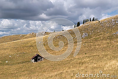 Old abandoned shepherd's hut in middle of pasture on slope of Vlasic mountain Stock Photo