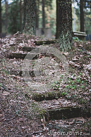 Old abandoned staircase in the forest. Stock Photo