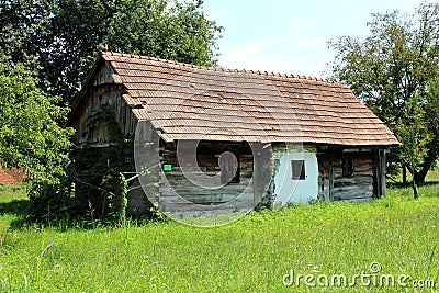 Old abandoned wooden family house in need of serious restoration surrounded with high uncut grass and tall trees Stock Photo