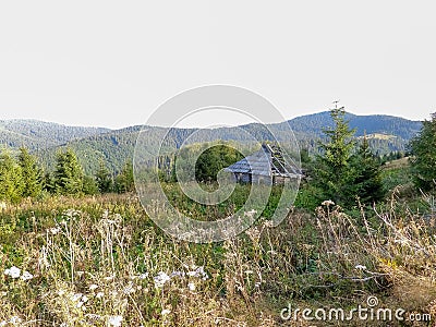 Old abandoned wooden hostel for loggers Stock Photo