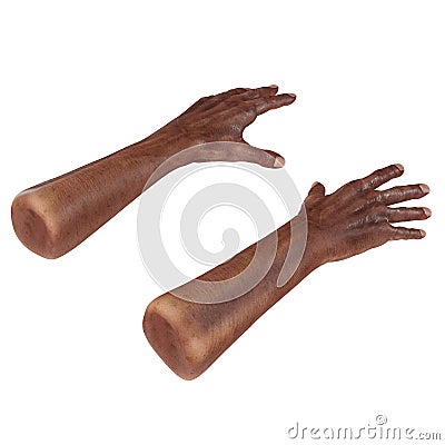 Old african man hand on a white. 3D illustration Cartoon Illustration