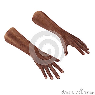 Old african man hand on a white. 3D illustration Cartoon Illustration