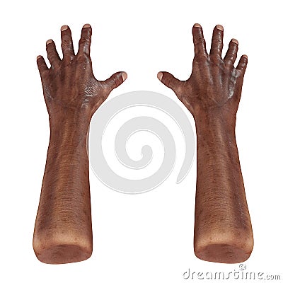 Old african man hand on a white. 3D illustration Cartoon Illustration