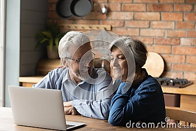 Retired family couple use laptop read latest news online Stock Photo