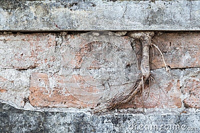 Old and aged brick and concrete wall Stock Photo