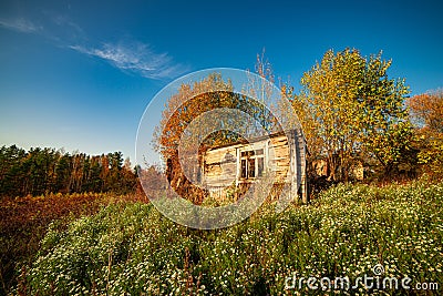 Fall landscape with old damaged wooden house Stock Photo