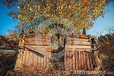 Decay of the old wooden house Stock Photo