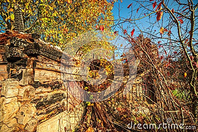 Damaged wooden house in fall Stock Photo