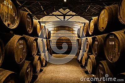 Old aged traditional wooden barrels with wine in a vault lined up in cool and dark cellar in Italy, Porto, Portugal, France Stock Photo
