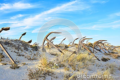 The old Anchor cemetery at the Barril beach Stock Photo