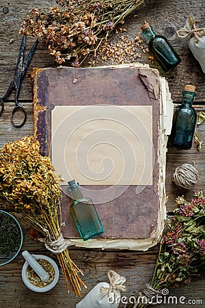 Old antique book, tincture bottles, assortment of bunches of dry medicinal herbs, mortar. Stock Photo