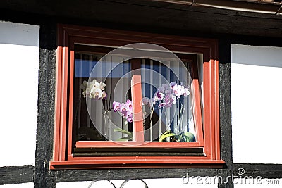 Old antique window in a wooden frame in a historic building close up with beautiful orchids in the Stock Photo