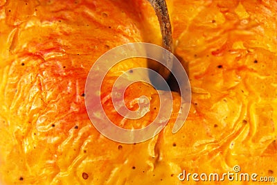 Old apple, wrinkled skin close-up. Stock Photo