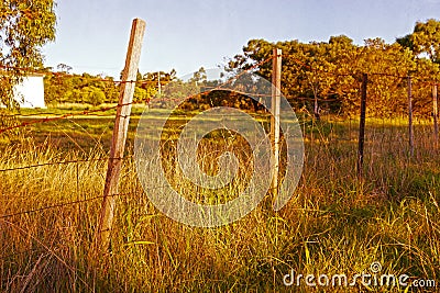 Old barbed wire fence Stock Photo