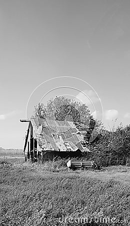 Old Barn in a Field Stock Photo