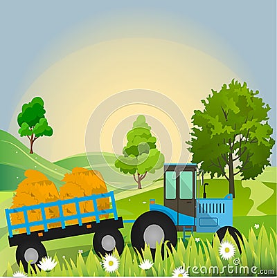 Old Barn and green field Vector Illustration