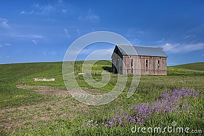 Old barn in green field. Stock Photo