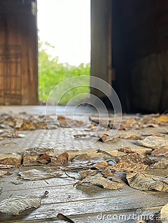 mysterious open door and leaves on the floor Stock Photo