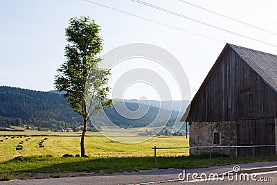 Old barn from stone and green tree nearby the road and field in mountains in Croatia Stock Photo