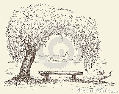 Old bench under a willow tree by the lake Vector Illustration