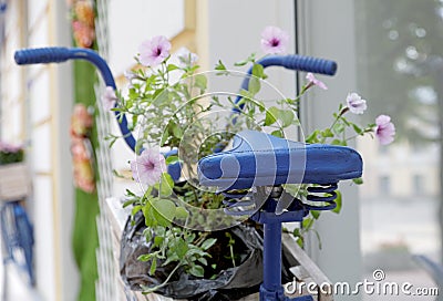 Old bicycle with flowers box Stock Photo