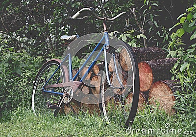 Old Bicycle Stock Photo