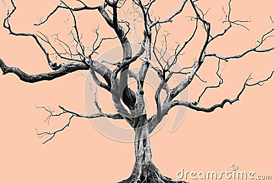 Old Big Giant Tree alone on Muted color background Stock Photo