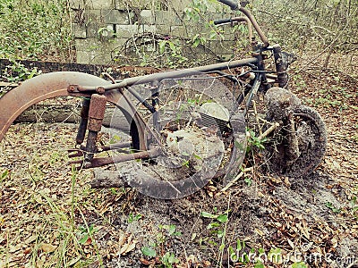 Old bike found in the woods Stock Photo