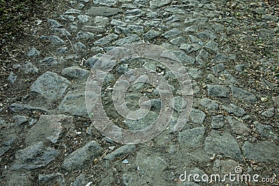 Old block stone pavement road. Abandoned dirty surface with weathered paving slabs and dust ground between Stock Photo