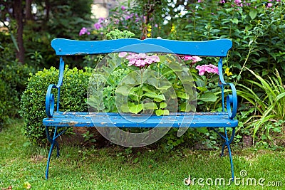 Old Blue Bench at the Garden Stock Photo