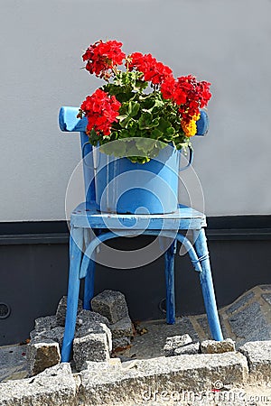 Old Blue Wooden Chair with Pot Full of Blooming Geranium Flower Stock Photo