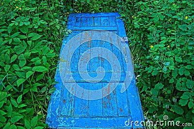 Old blue wooden door lies in green grass and vegetation Stock Photo