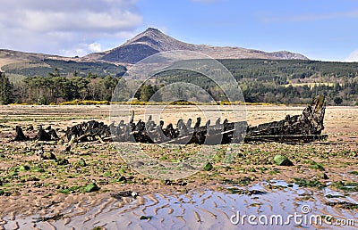 Old boat wreck Stock Photo