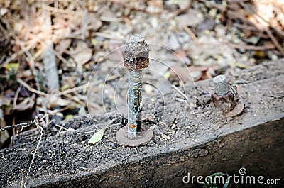 Old bolt and nut on wood Stock Photo