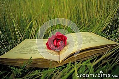 An old book on the grass, a rose as a sign of the book. suitable for book cover, illustration, presentation, invitation Stock Photo