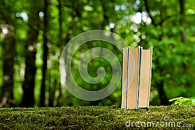 Old books standing on green moss in forest with trees in background Stock Photo