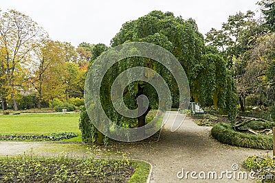 Old botanical garden Stock Photo