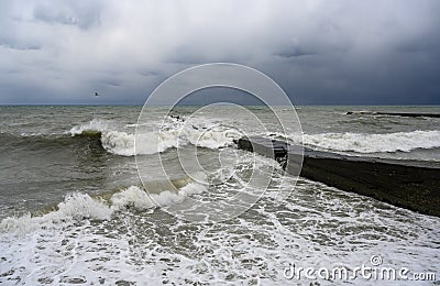 An old breakwater and a seagull on the Black Sea in winter in stormy weather Stock Photo