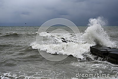 An old breakwater and a seagull on the Black Sea in winter in stormy weather Stock Photo