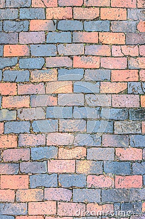 Brick sidewalk in downtown raleigh north carolina on a rainy morning Stock Photo