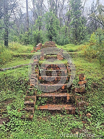 Old brick steps in the Newnes Industrial ruins Stock Photo