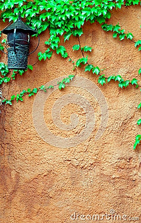 Old brick wall and grape-vine Stock Photo