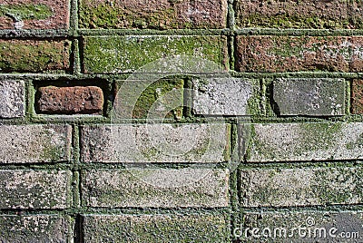 Old brick wall of the house. Stock Photo