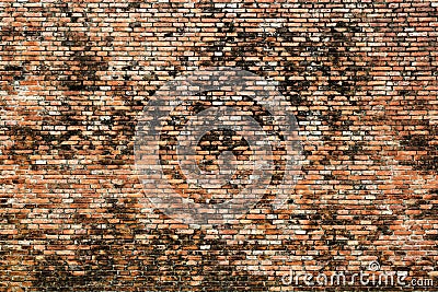 Old bricks wall Stock Photo