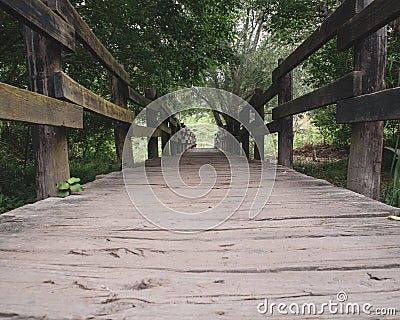 Old bridge in the forest Stock Photo