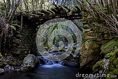 Old broken wooden bridge over a beautiful crystal clear river surrounded by lush wet forest. River SoldÃ³n. O Courel Stock Photo